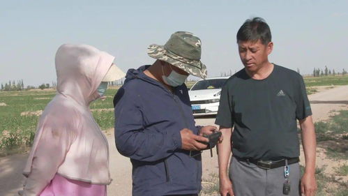 騰格里經濟技術開發區 無人機撒藥技術開發助力農業提質增收